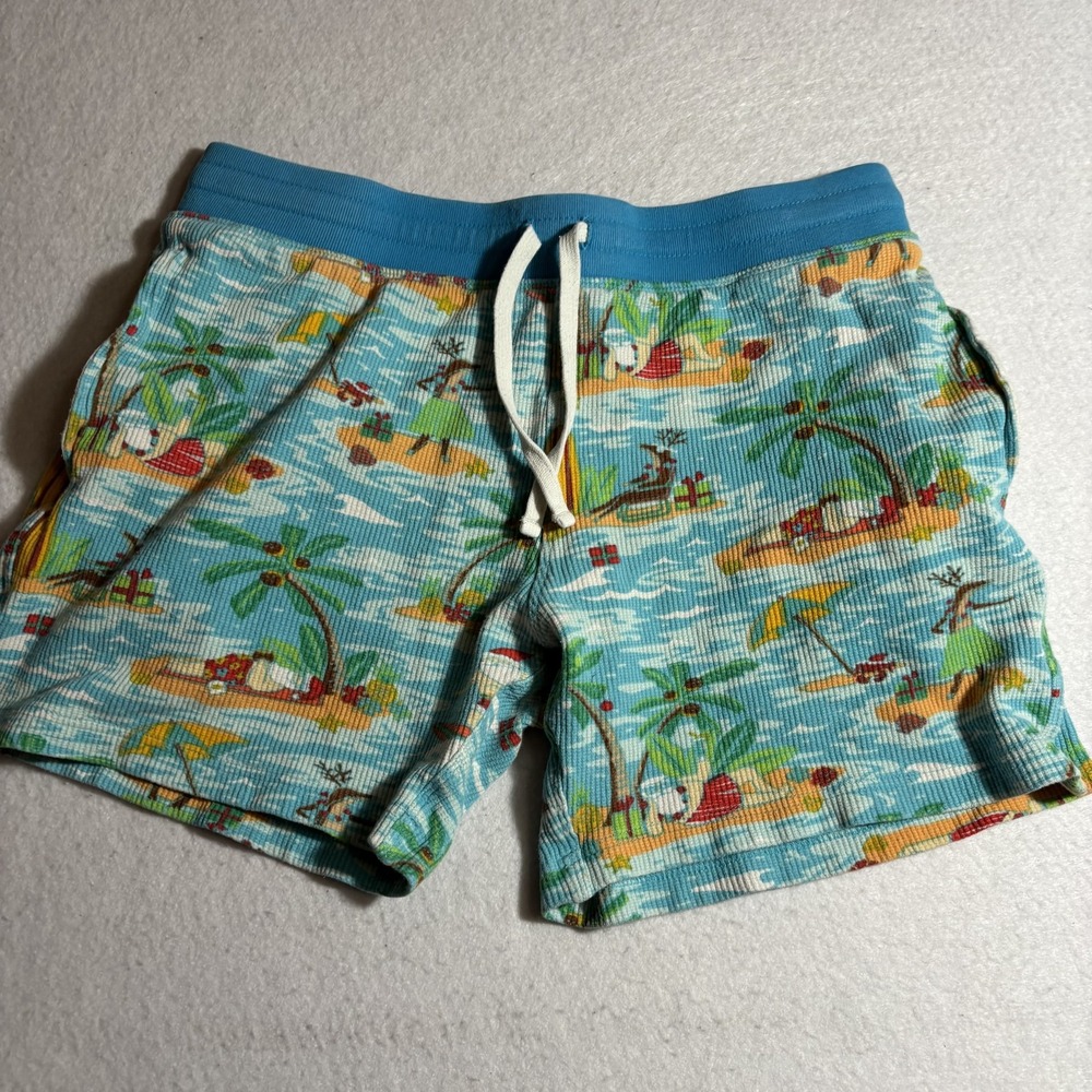 Chubbies Shorts Mens Small Tropical Christmas Santa Surf Swim Beach